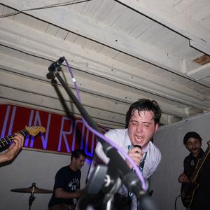 The Vedasay